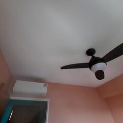 Blk 613A Tampines Greenview (Tampines), HDB 3 Rooms #496927321